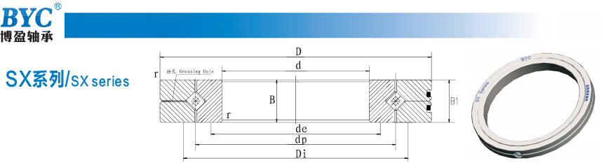 蕾丝视频下载污