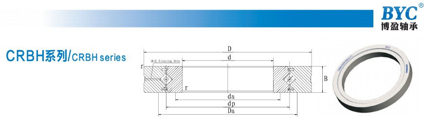 蕾丝视频下载污