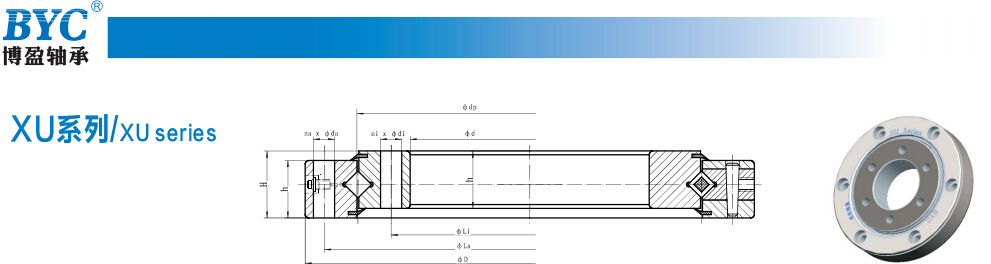 蕾丝视频下载污