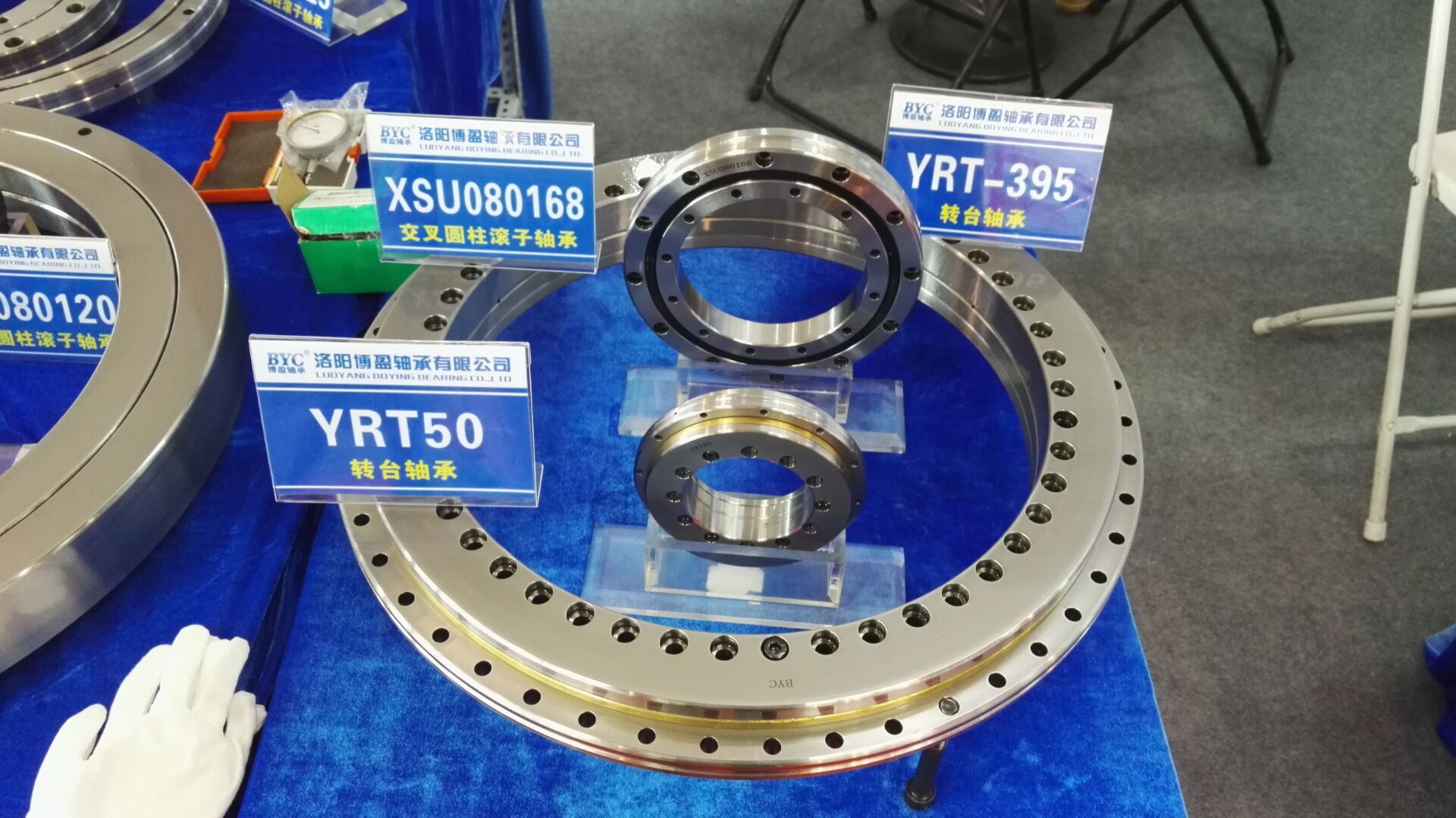 蕾丝视频下载污