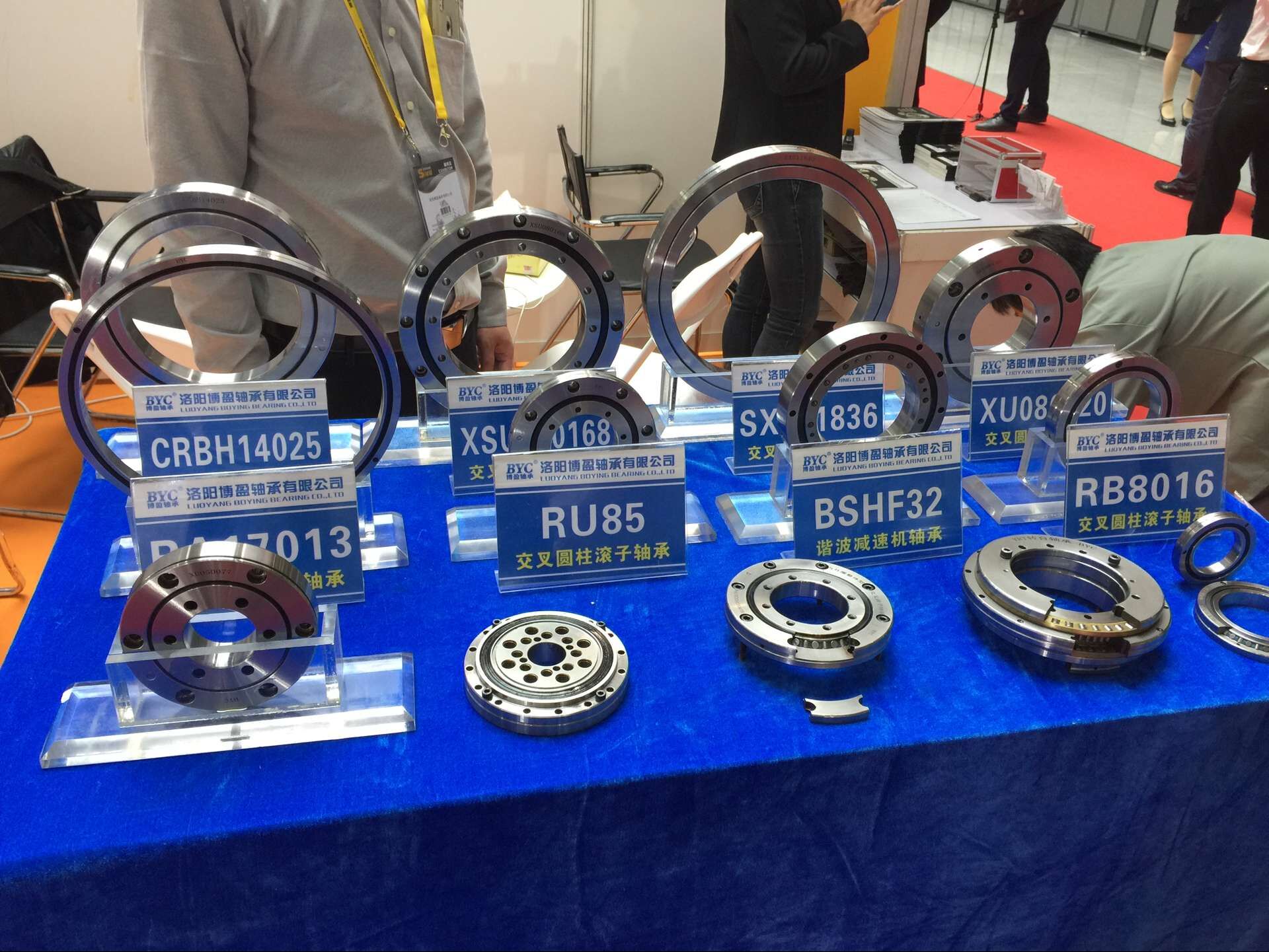 蕾丝视频下载污 蕾丝视频下载污