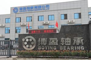 蕾丝视频无限制观看的特點